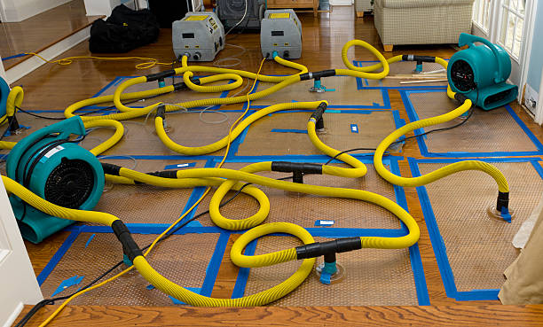 Professional Crawl Space Water Removal technician working in Franconia, VA
